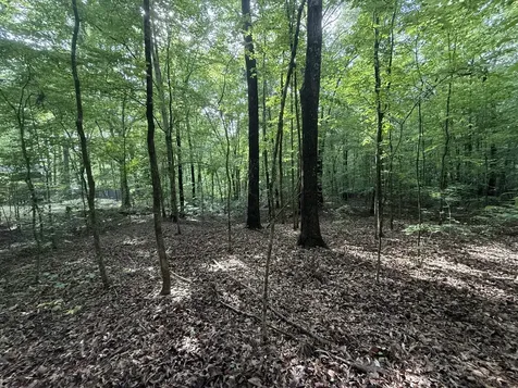 0 Caney Creek Road Stewart TN 37175