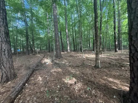 0 Caney Creek Road Stewart TN 37175
