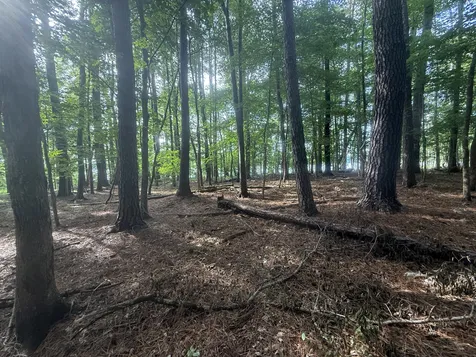 0 Caney Creek Road Stewart TN 37175
