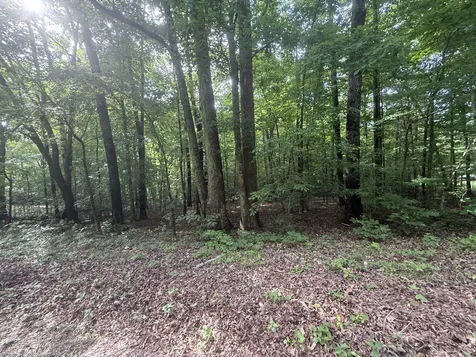0 Caney Creek Road Stewart TN 37175