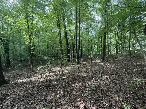 0 Caney Creek Road Stewart TN 37175