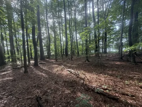 0 Caney Creek Road Stewart TN 37175