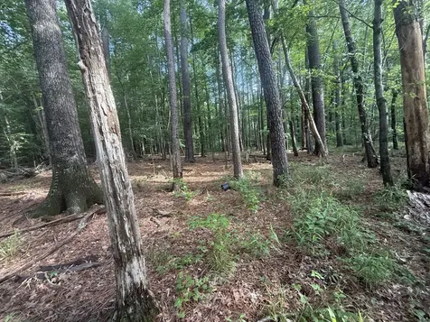 0 Caney Creek Road Stewart TN 37175
