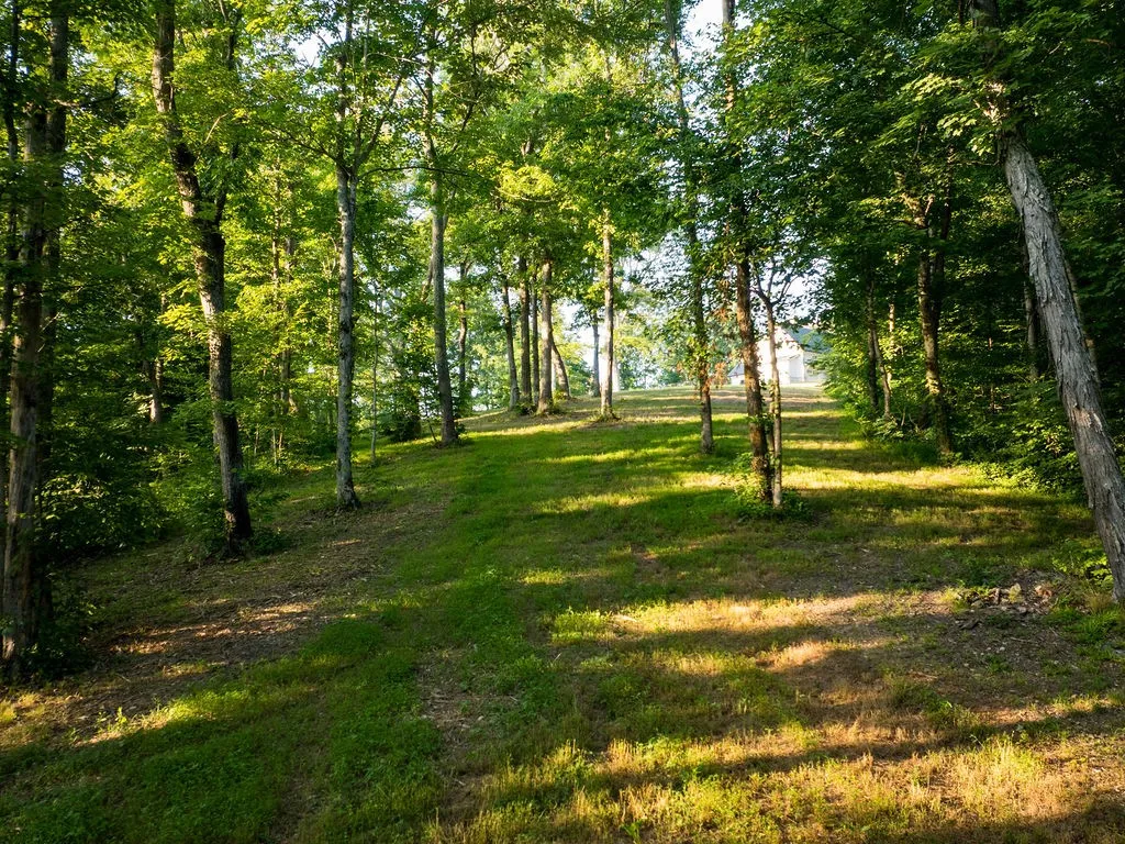 3809 Boston Theta Road Columbia TN 38401