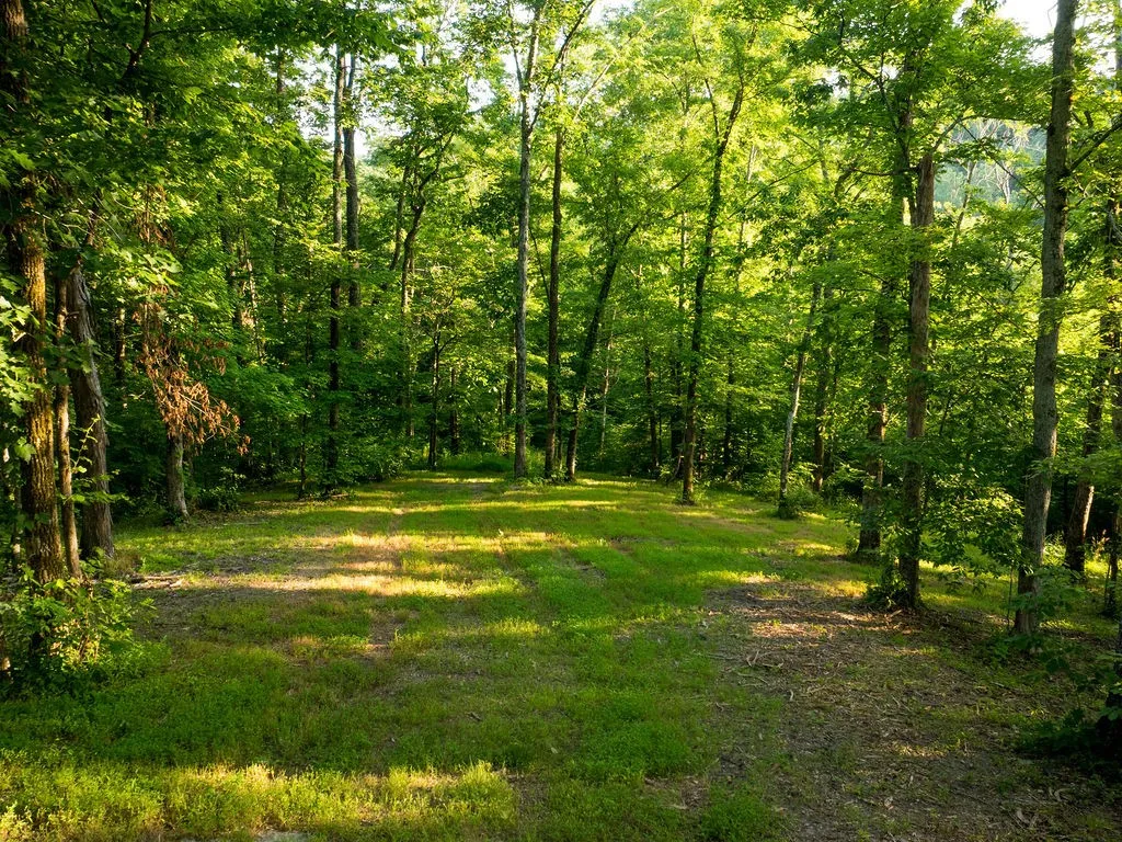 3809 Boston Theta Road Columbia TN 38401