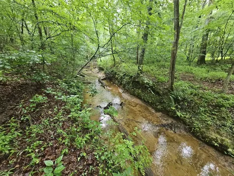 2411 Sr 56 Tracy City TN 37387