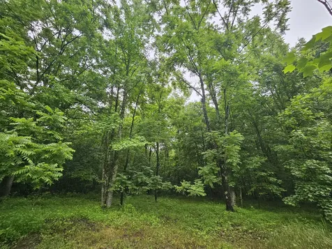 2411 Sr 56 Tracy City TN 37387