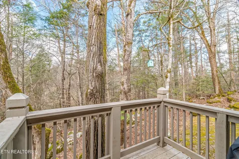 151 Sequoyah Village Road Townsend TN 37882