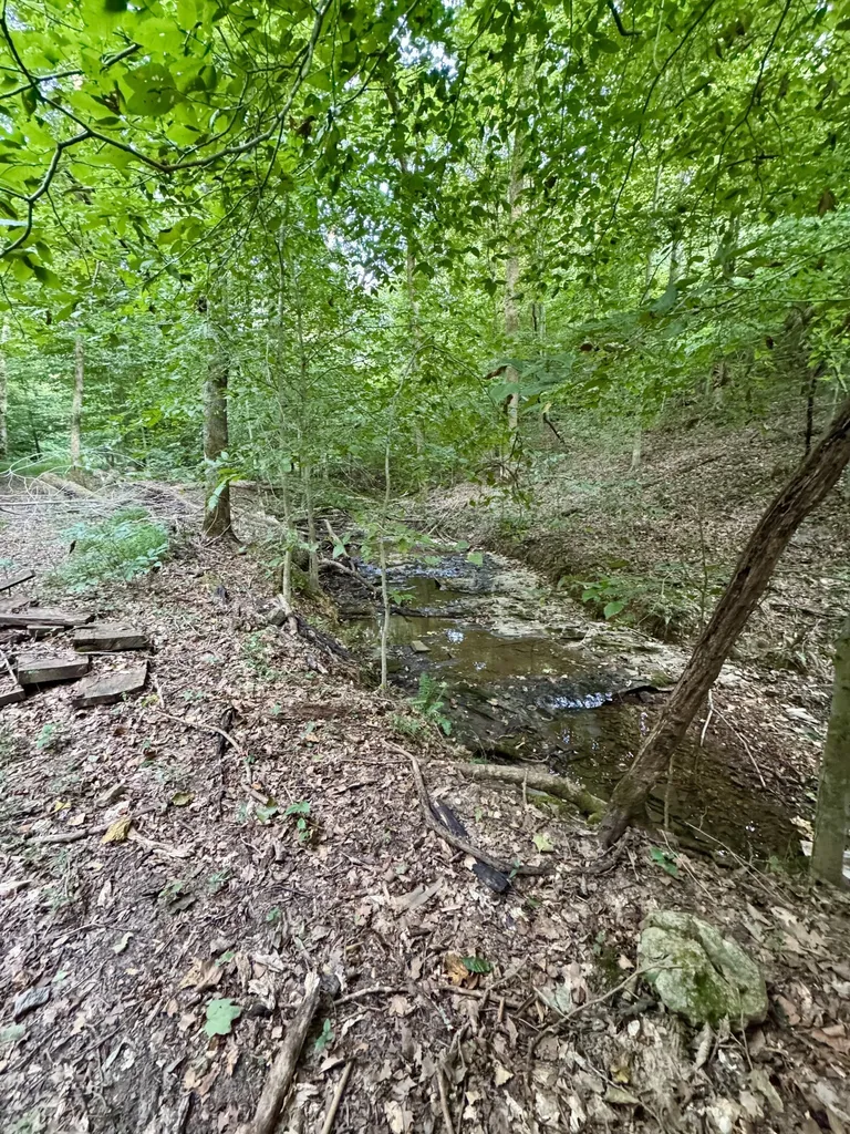 1380A Cheatham Dam Road Ashland City TN 37015