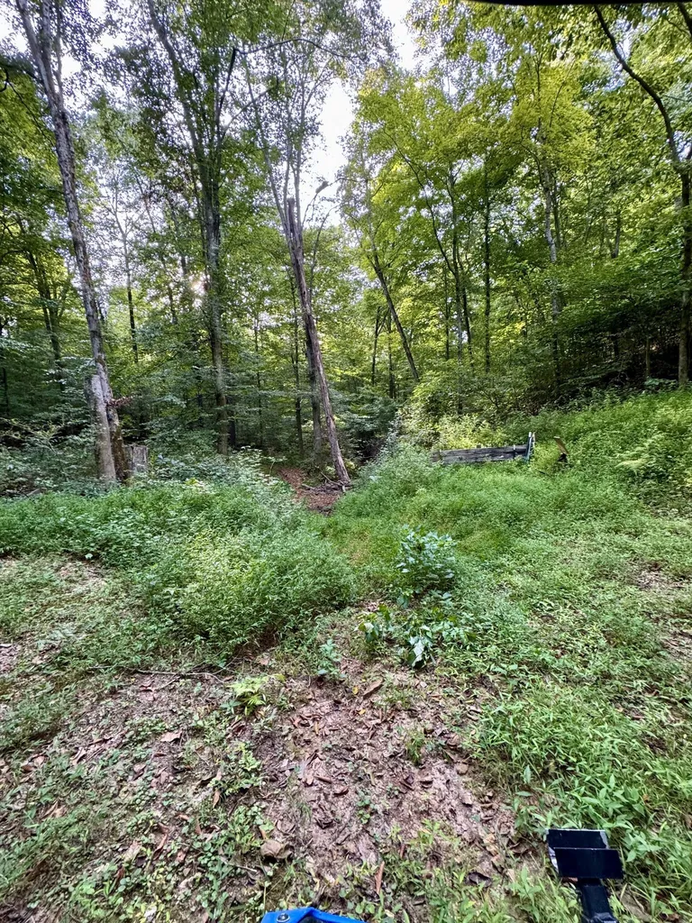 1380A Cheatham Dam Road Ashland City TN 37015