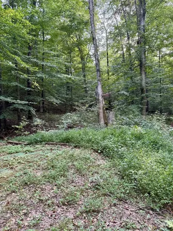 1380A Cheatham Dam Road Ashland City TN 37015