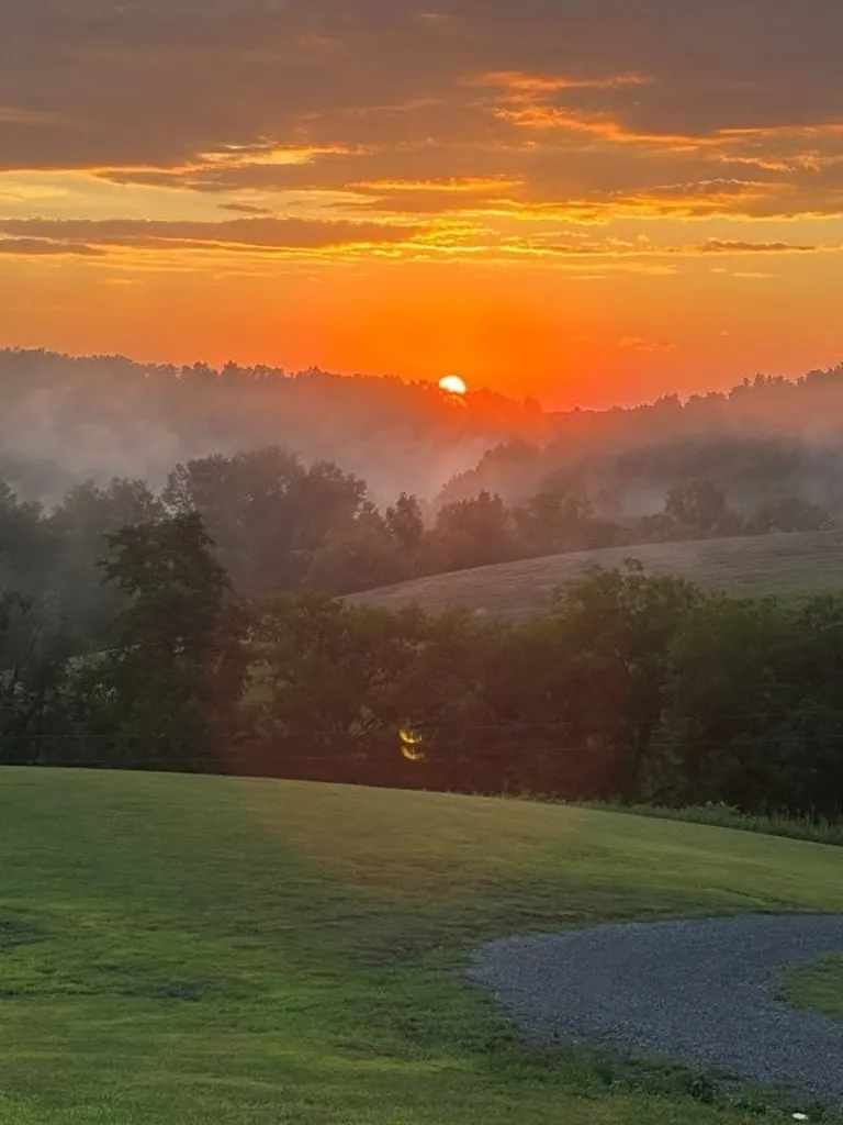 557 Ward Hollow Road Shelbyville TN 37160