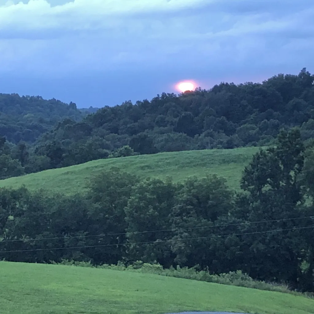 557 Ward Hollow Road Shelbyville TN 37160