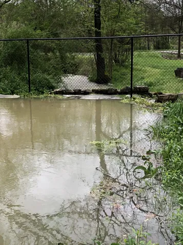 557 Ward Hollow Road Shelbyville TN 37160