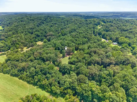 3450 Chapmans Circle Palmyra TN 37142