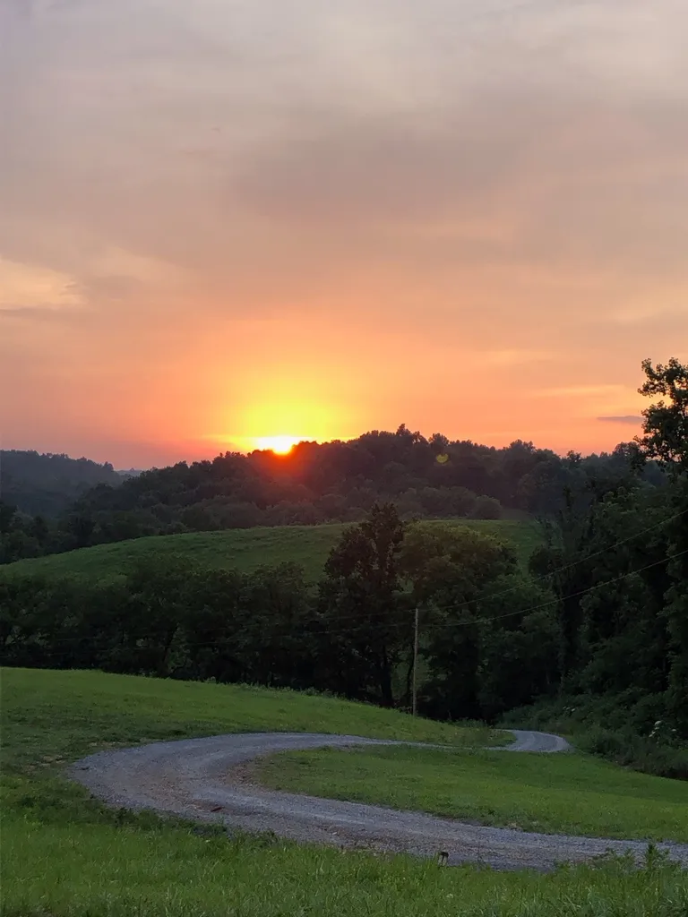 557 Ward Hollow Road Shelbyville TN 37160