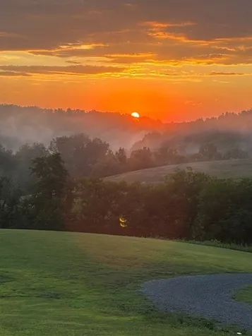 557 Ward Hollow Road Shelbyville TN 37160