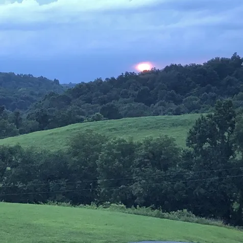 557 Ward Hollow Road Shelbyville TN 37160
