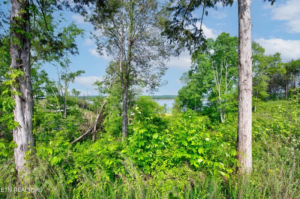 0 Quiet Cove Way Dandridge TN 37725
