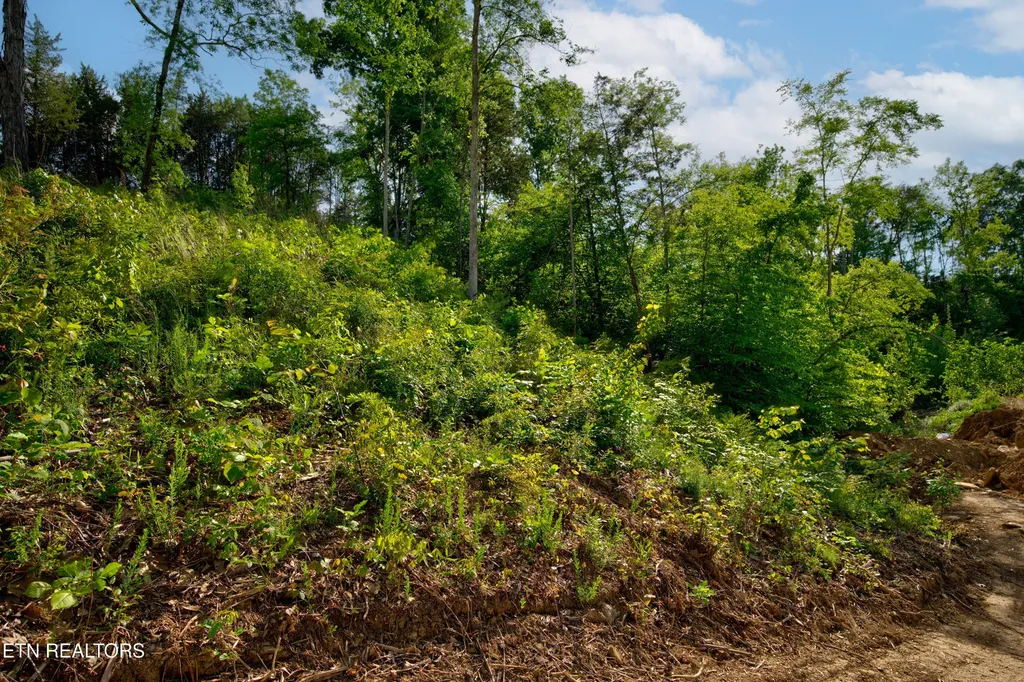 0 Quiet Cove Way Dandridge TN 37725