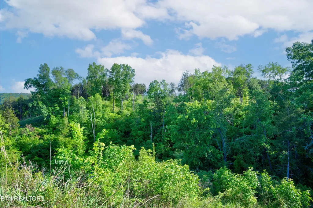 0 Quiet Cove Way Dandridge TN 37725