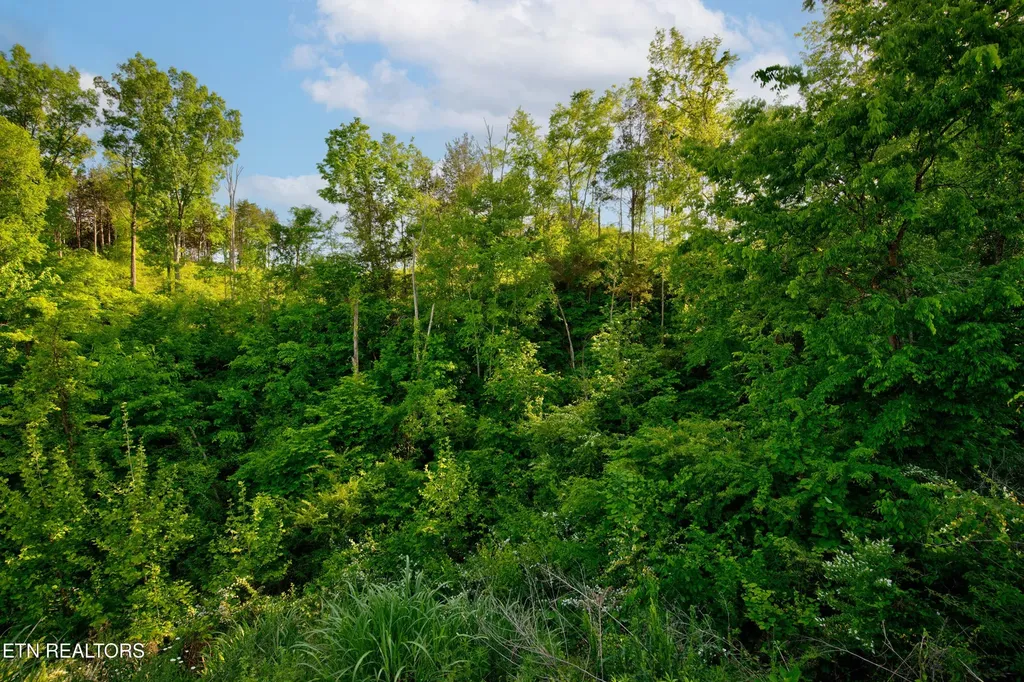 0 Quiet Cove Way Dandridge TN 37725