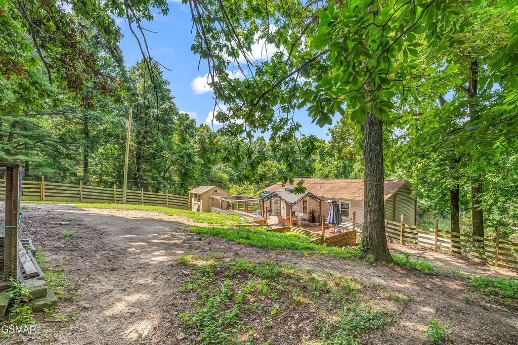 131 Delozier Lane Rockwood TN 37854