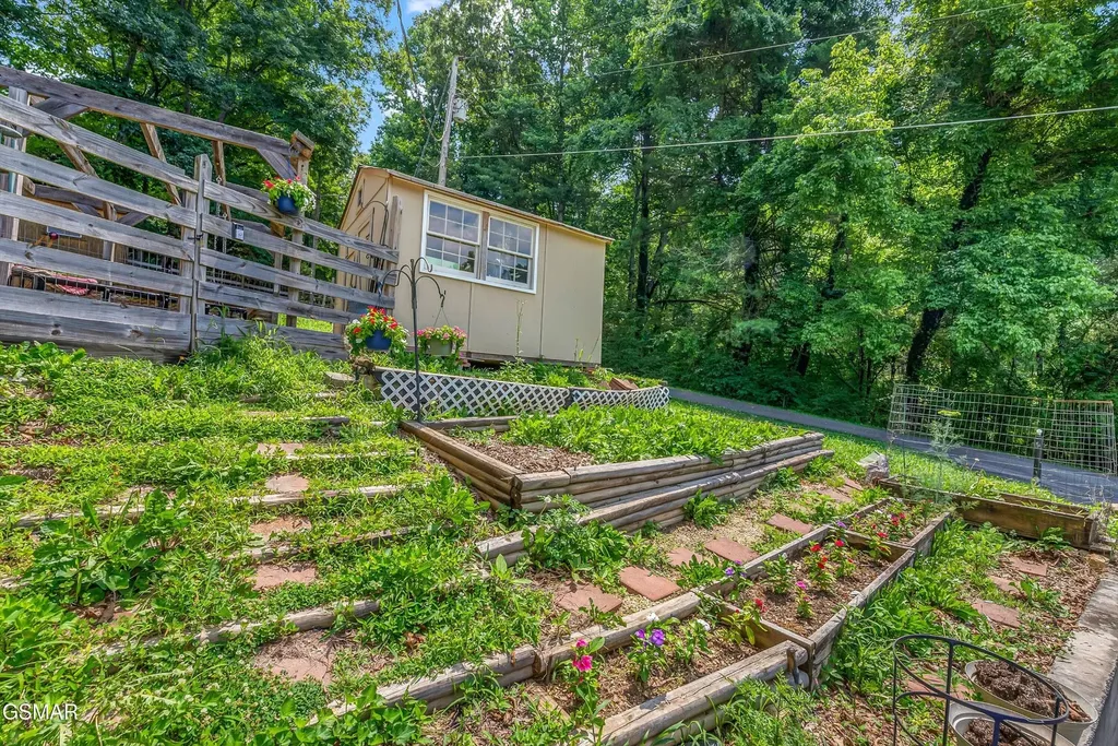 131 Delozier Lane Rockwood TN 37854