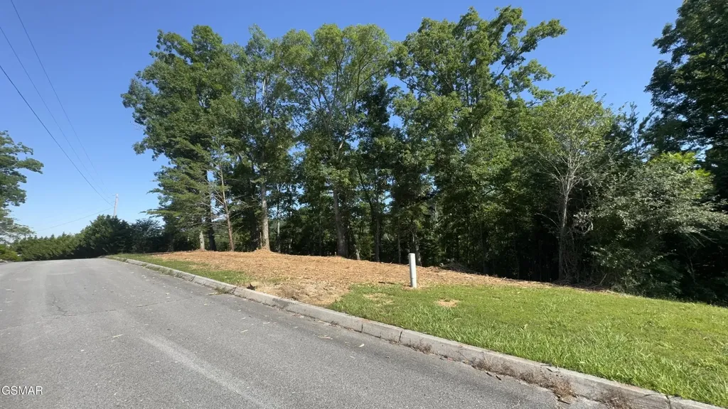 13 Rupert Drive Dandridge TN 37725