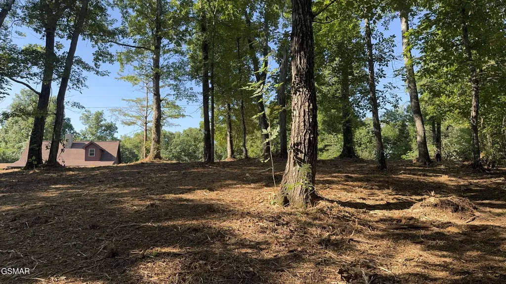 13 Rupert Drive Dandridge TN 37725