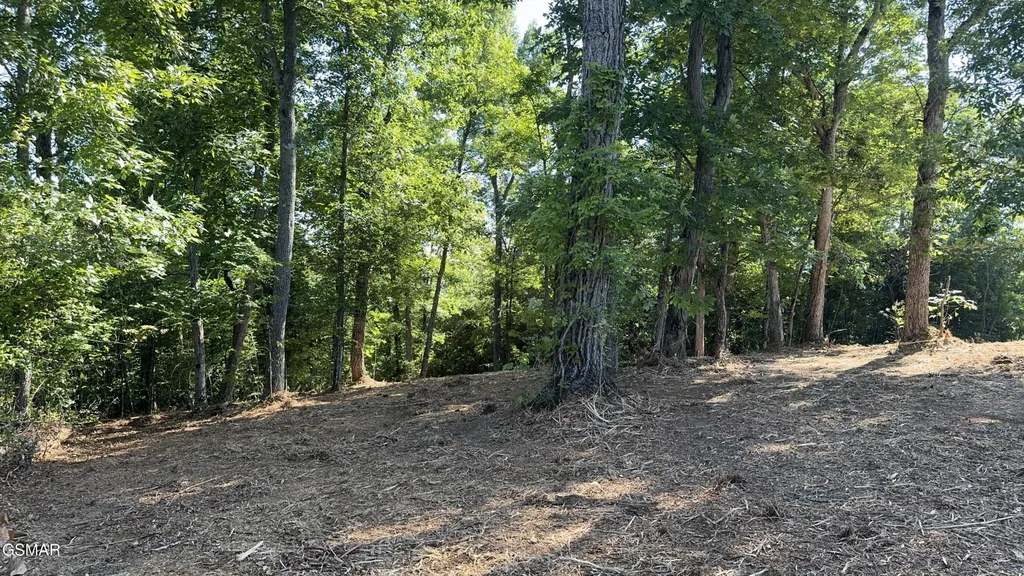 13 Rupert Drive Dandridge TN 37725