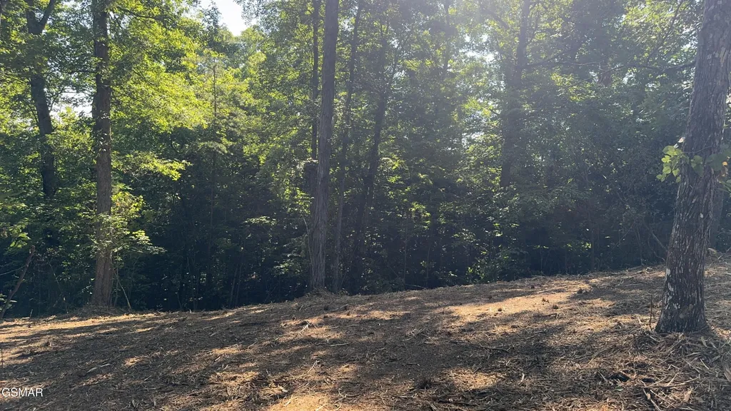 13 Rupert Drive Dandridge TN 37725