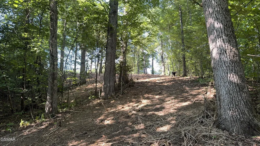 13 Rupert Drive Dandridge TN 37725