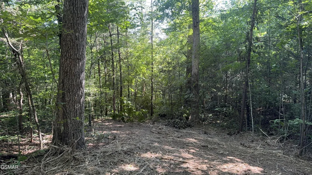 13 Rupert Drive Dandridge TN 37725
