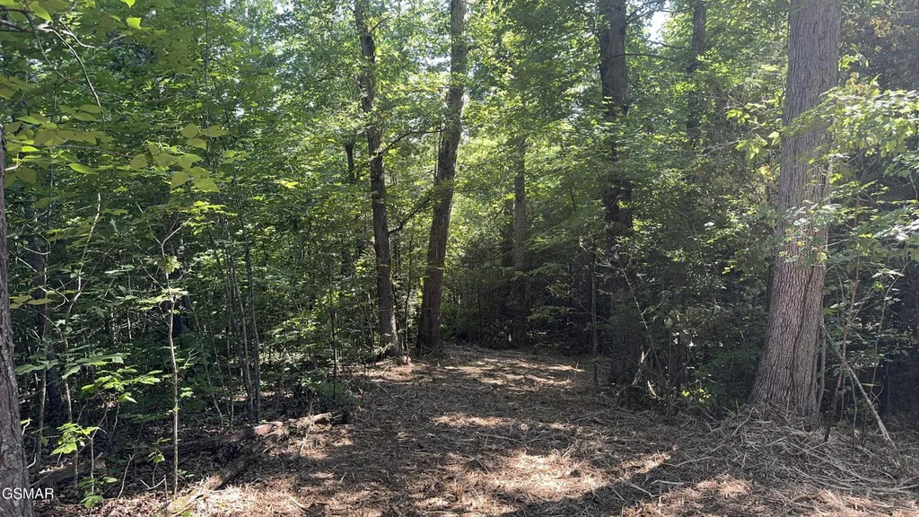 13 Rupert Drive Dandridge TN 37725