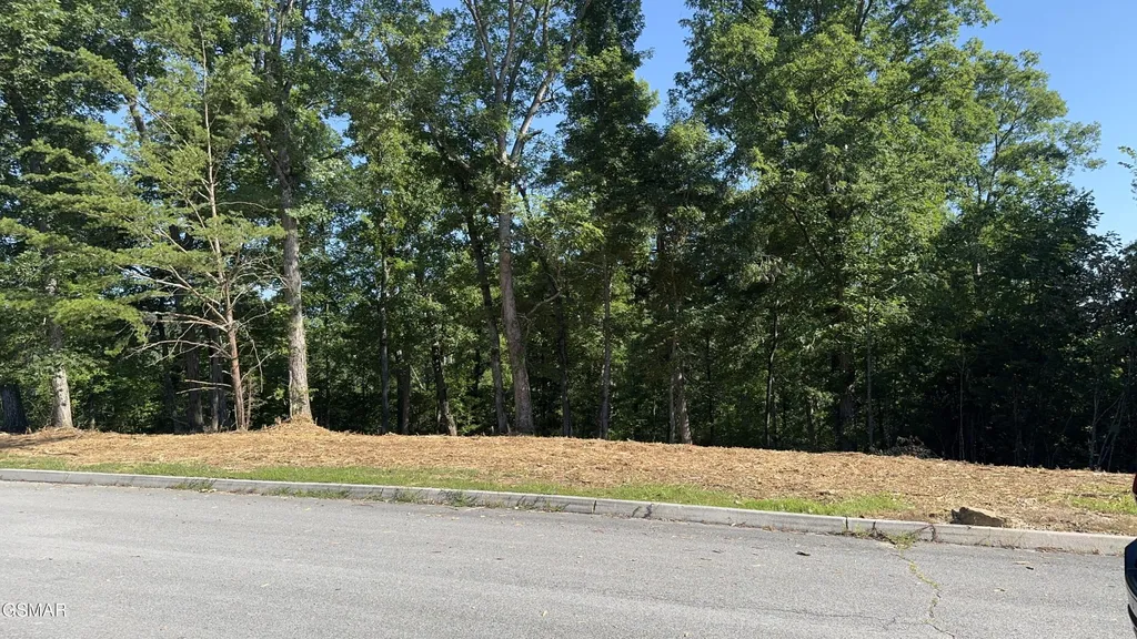 13 Rupert Drive Dandridge TN 37725