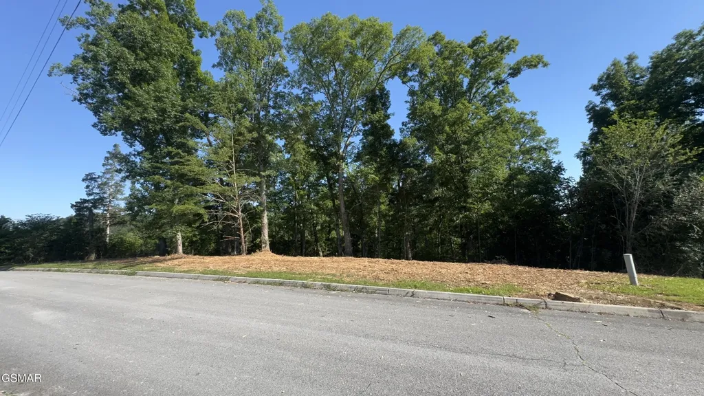 13 Rupert Drive Dandridge TN 37725
