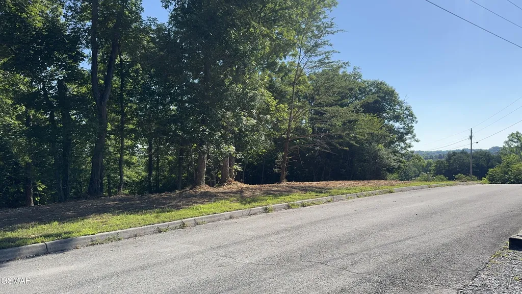 13 Rupert Drive Dandridge TN 37725