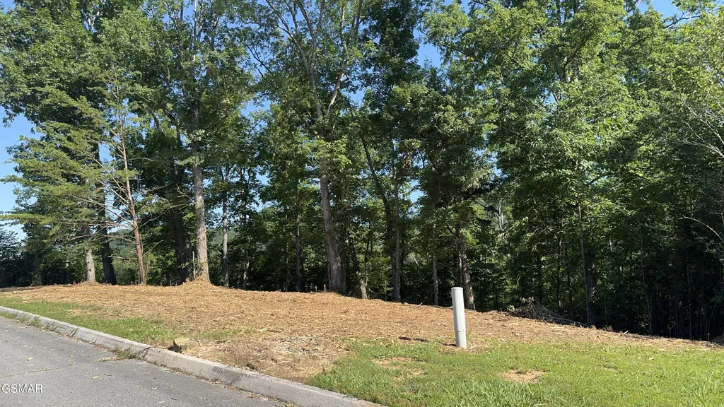 13 Rupert Drive Dandridge TN 37725