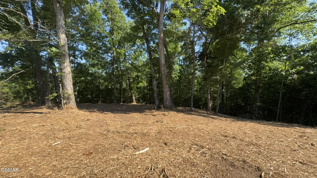 13 Rupert Drive Dandridge TN 37725