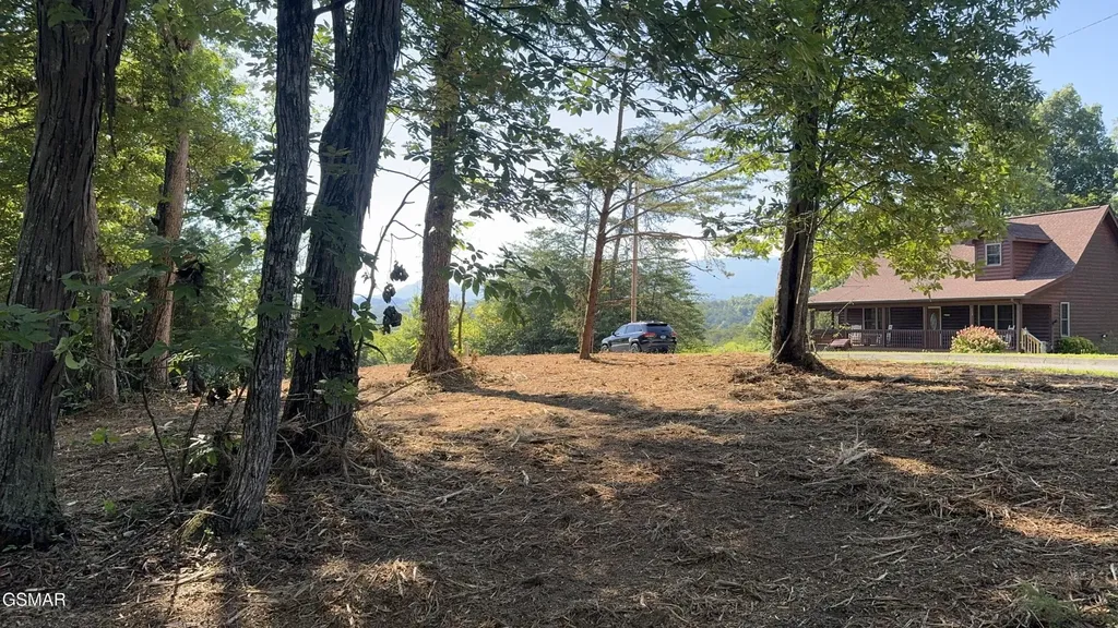 13 Rupert Drive Dandridge TN 37725