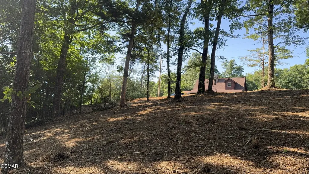 13 Rupert Drive Dandridge TN 37725