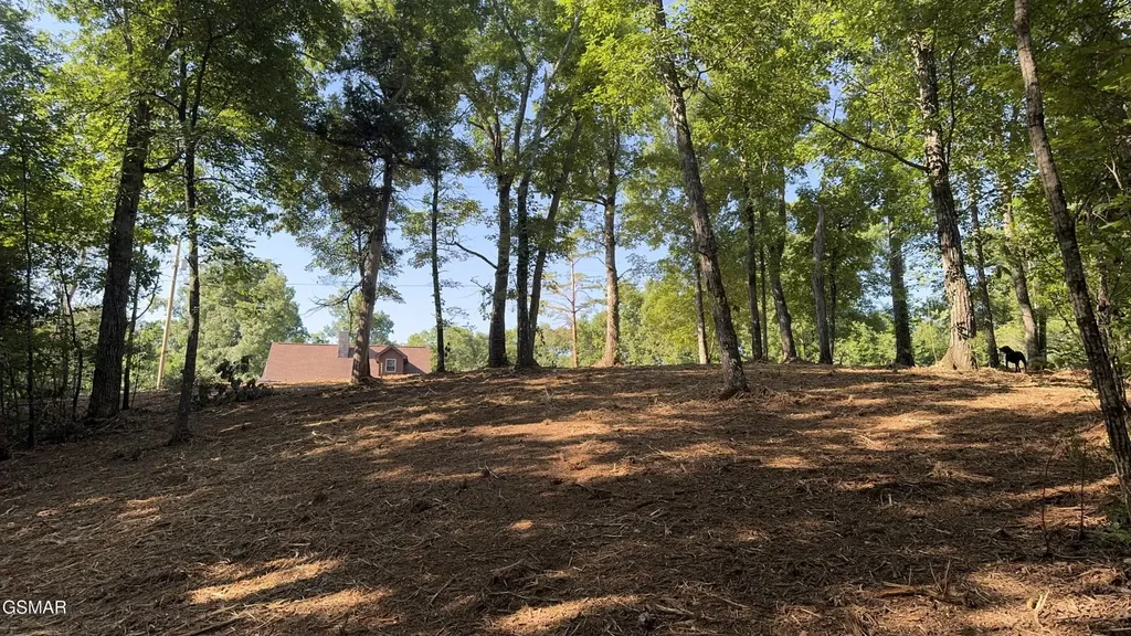 13 Rupert Drive Dandridge TN 37725