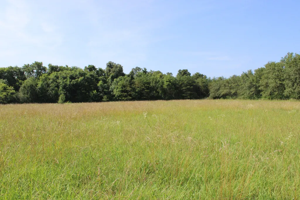 636 Myers Cove Road Mcminnville TN 37110