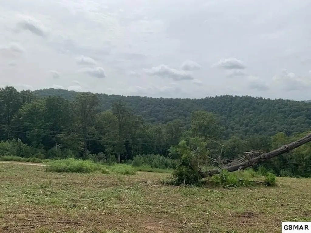 11 Mountain Way Sharps Chapel TN 37866