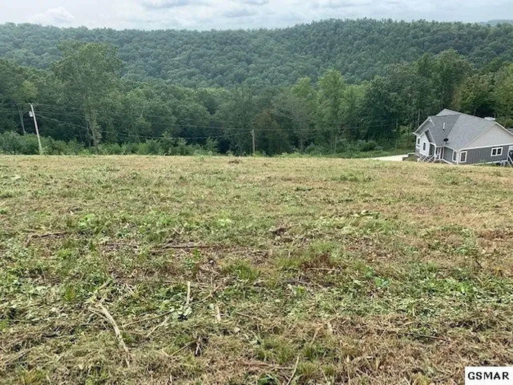 11 Mountain Way Sharps Chapel TN 37866