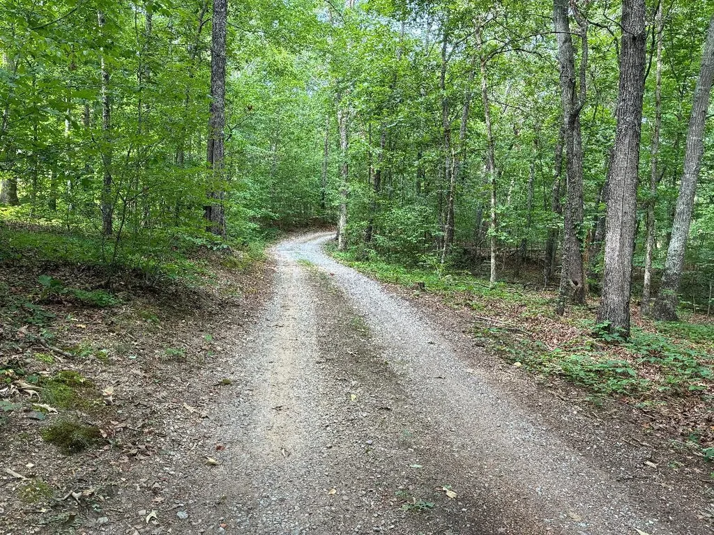 170 County Road 709 Riceville TN 37370