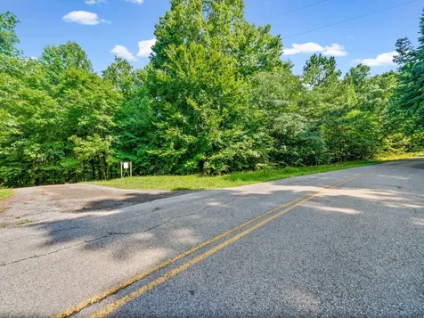 0 Forest Trail Bumpus Mills TN 37028