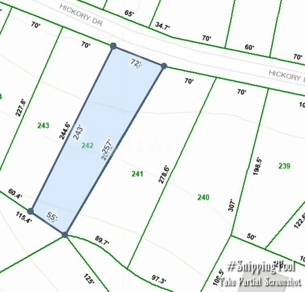 242 Hickory Drive Spring City TN 37381