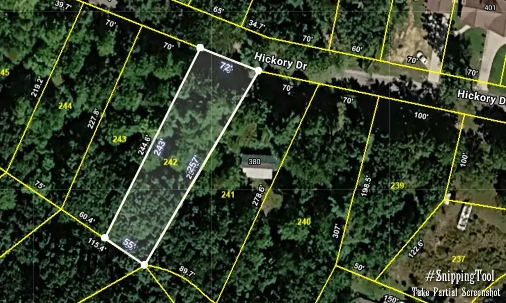 242 Hickory Drive Spring City TN 37381